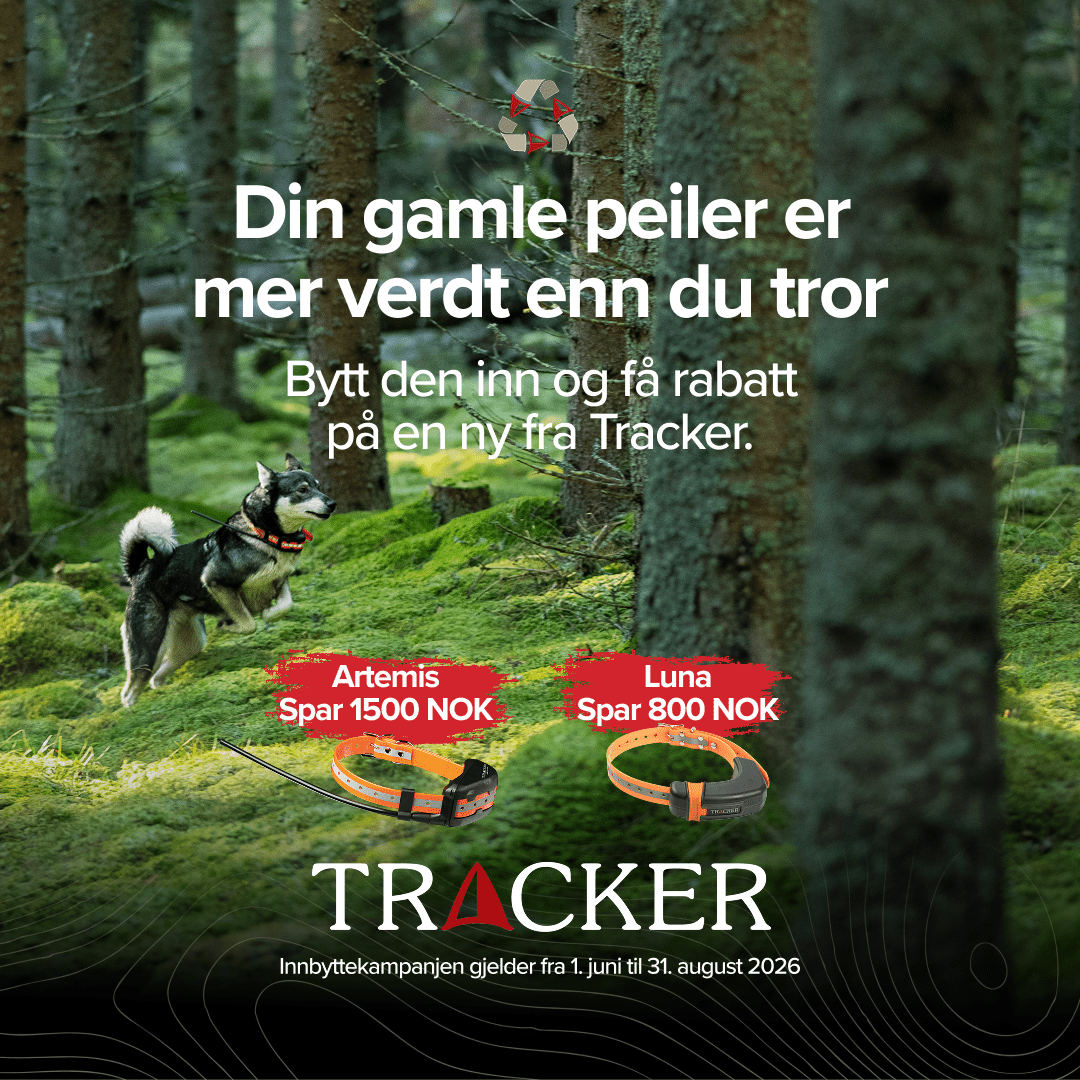 Tracker LUNA 4G Hundepeiler INNBYTTEKAMPANJE